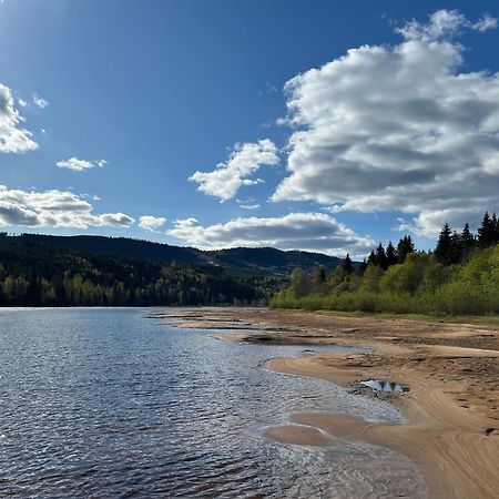Charmig Villa Med Bastu Och Snabbt Wifi Långav エクステリア 写真