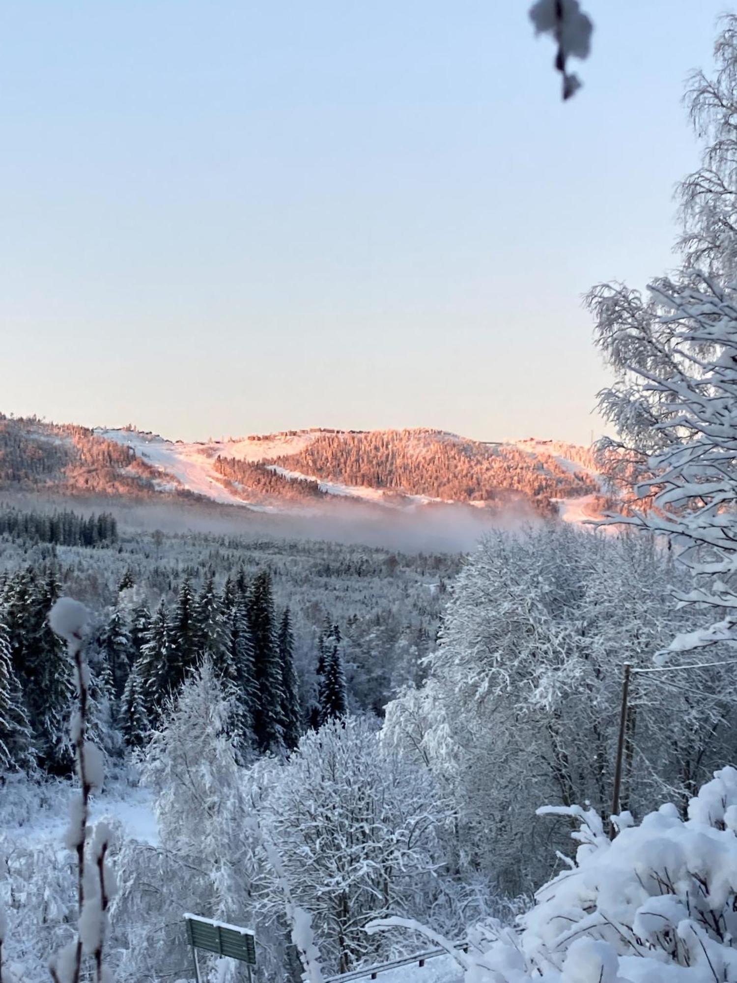 Charmig Villa Med Bastu Och Snabbt Wifi Långav エクステリア 写真